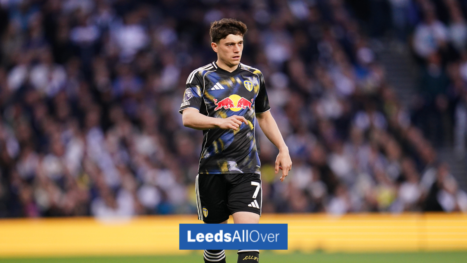 Alarm bells should be ringing for 49ers as Leeds United ace struggles vs Spurs: View - LeedsAllOver |