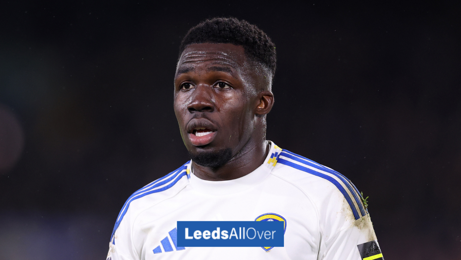 Freiburg hold Willy Gnonto talks - Leeds United open to exit